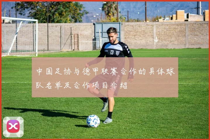 中国足协与德甲联赛合作的具体球队名单及合作项目介绍