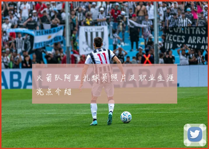 火箭队阿里扎球员照片及职业生涯亮点介绍
