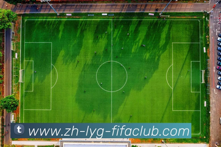 多媒体互动体验